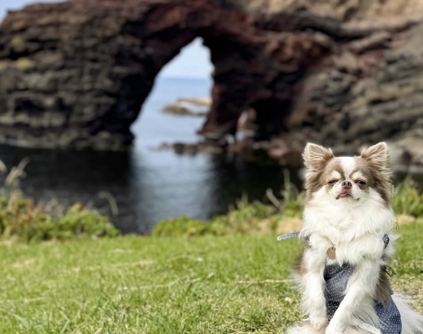 通天橋　西ノ島