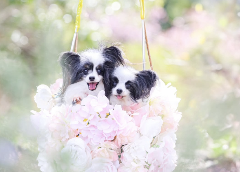 ニューヨークランプミュージアム ＆フラワーガーデン