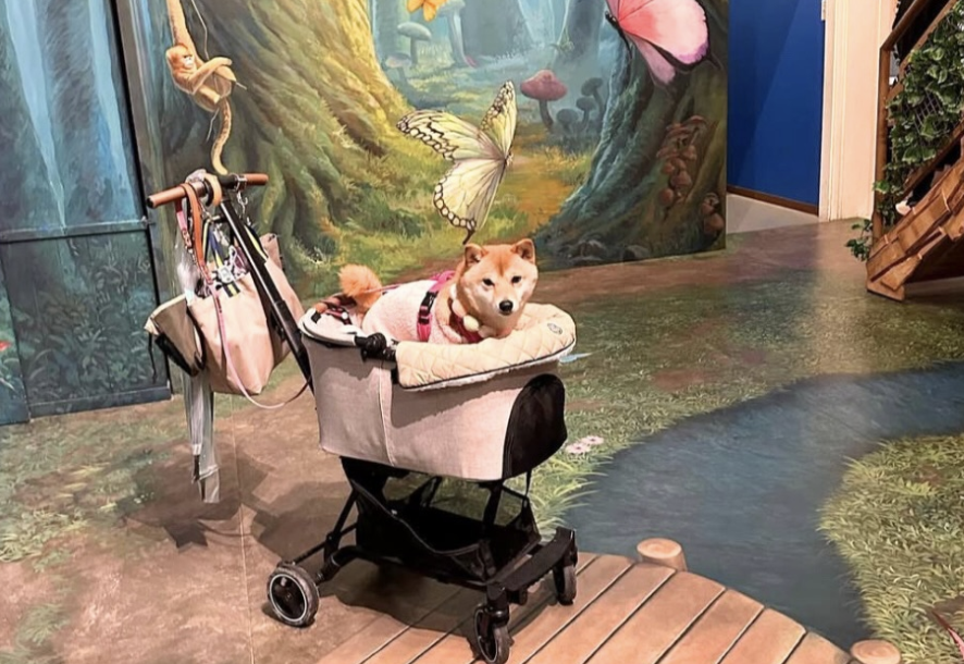 那須とりっくあーとぴあ