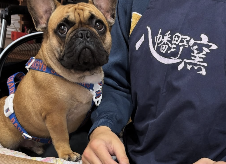 陶芸体験 八幡野窯