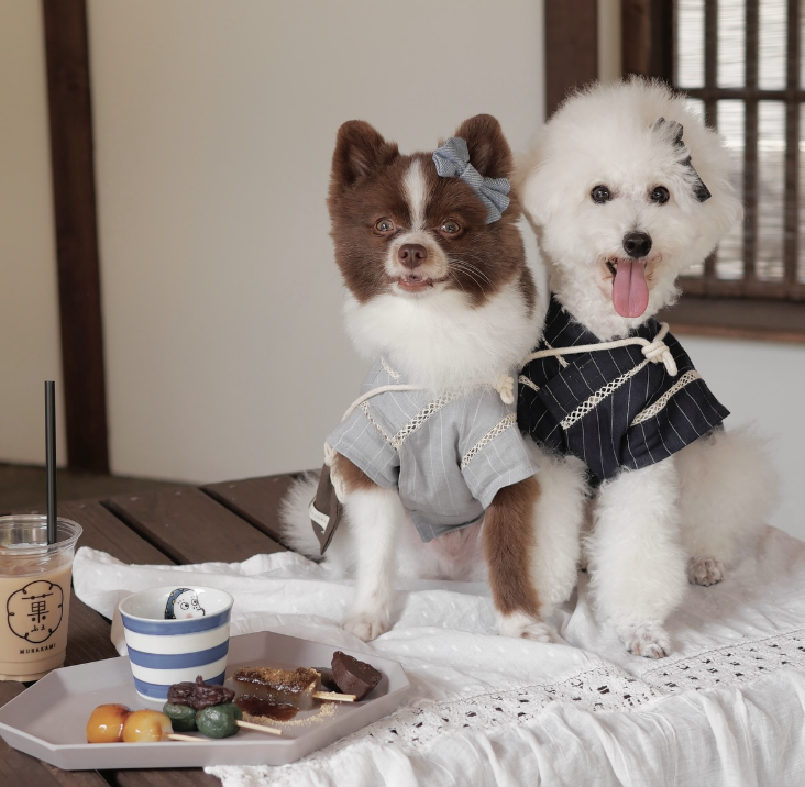 菓ふぇ　MURAKAMI