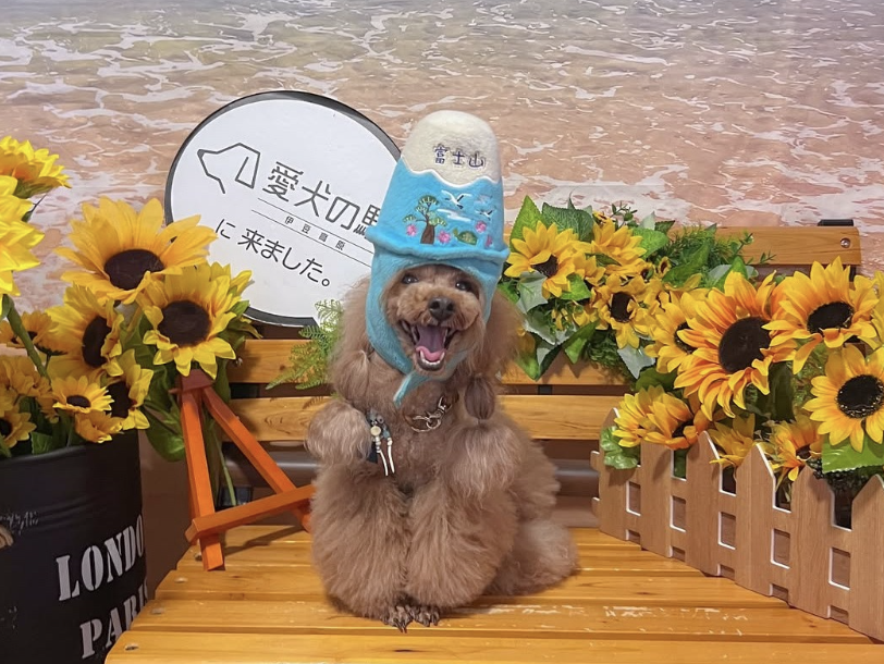 愛犬の駅 伊豆高原