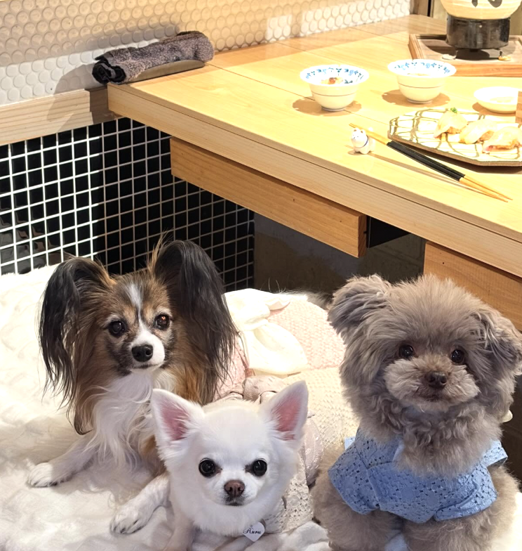 おすしと原始焼『金沢なかむら』