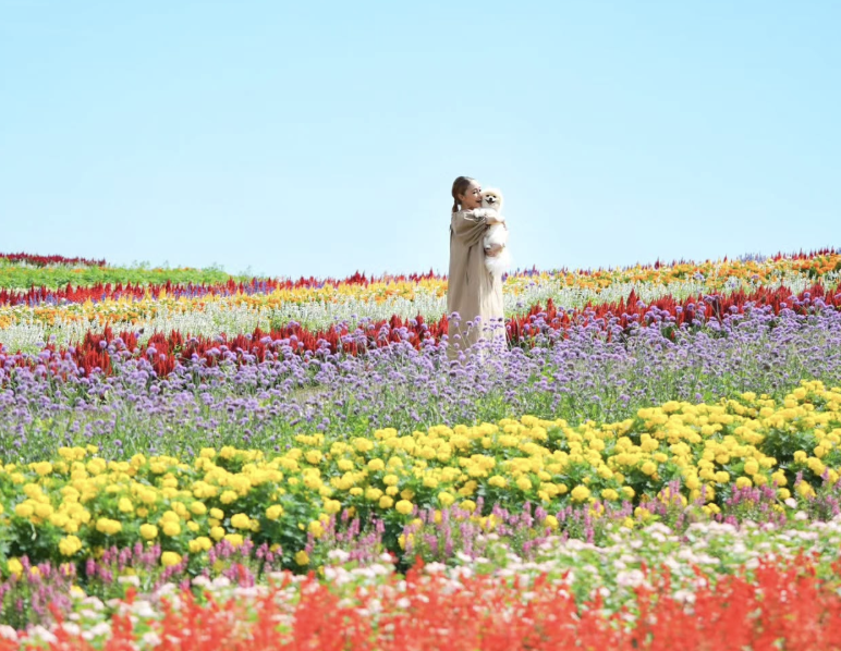 やくらいガーデン