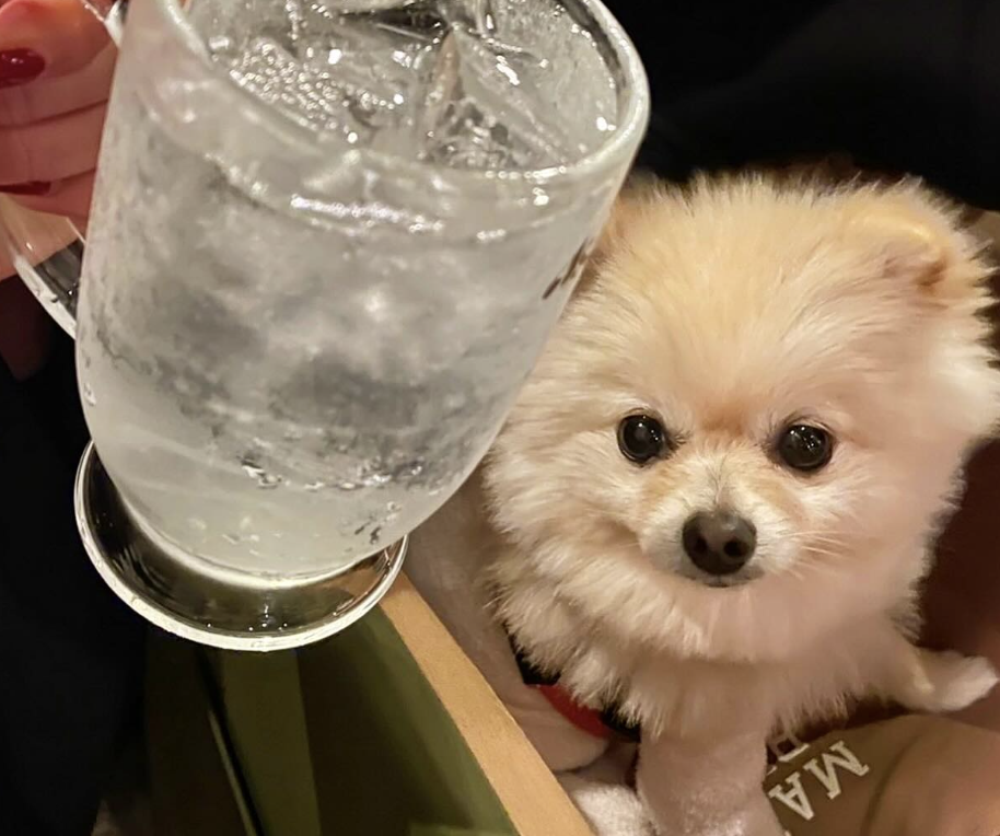 魅惑の七輪 らんまん