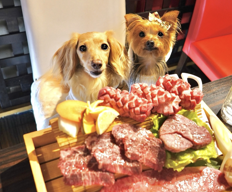 焼肉 鈴木清左ヱ門