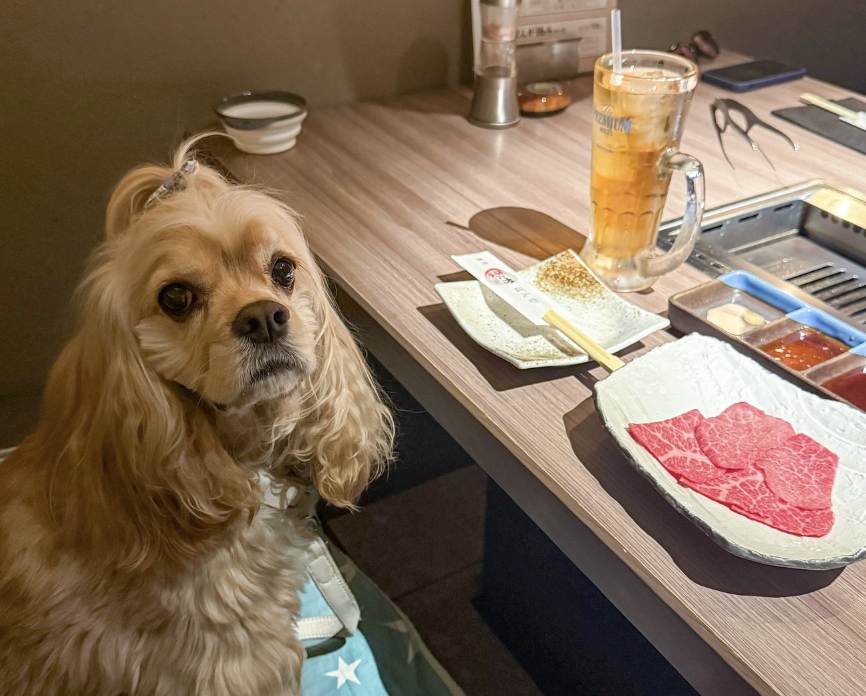 焼肉ぽんが田町店