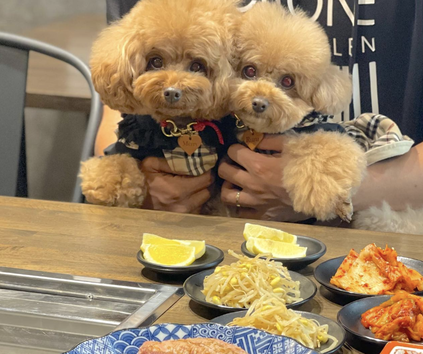 焼肉工房 つるまさ