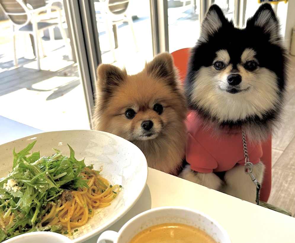 ガモウパークキッチン