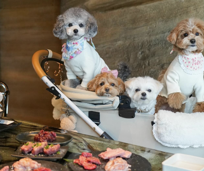 隠れ家焼肉 ニクノトリコ