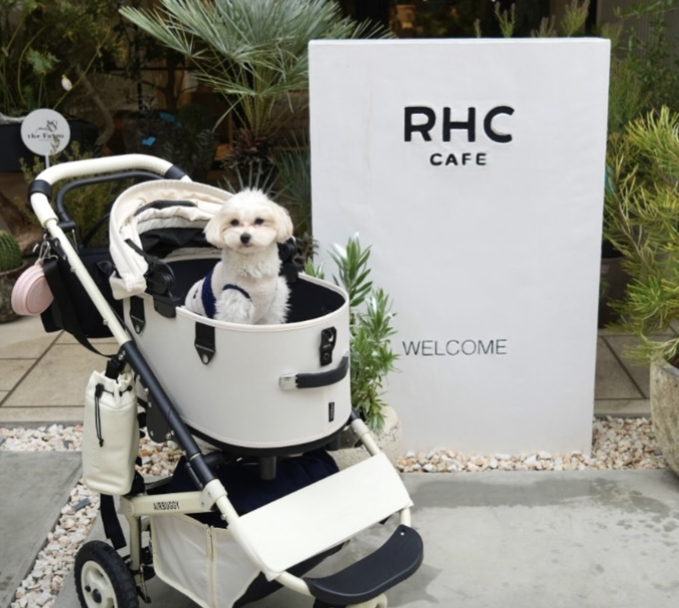 RHC CAFE 豊洲店