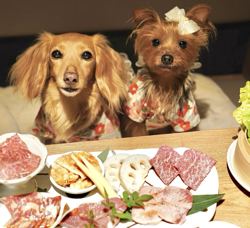 焼肉一七三 向山