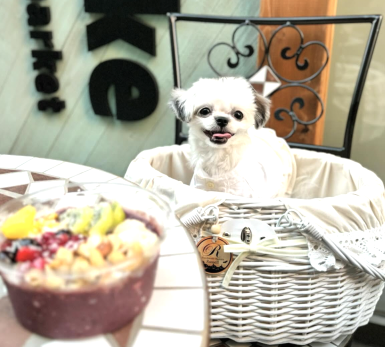 アヒポキ 豊洲店